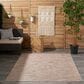 Nourison Positano 3" x 5" Beige Indoor/Outdoor Area Rug, , large