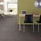 Shaw Bellera Calm Simplicity II Carpet in Newstone Haven, , large