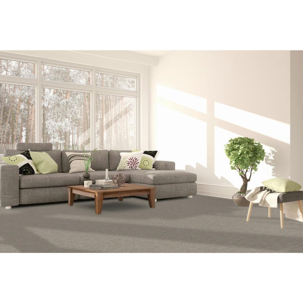 Dream Weaver Baja II Carpet in Point Break, , large