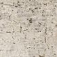 Oriental Weavers Branigan BRG05 Beige and Gold 7"10" x 10" Area Rug, , large