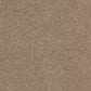 Karastan Soothing Obsession Carpet in Tempting Taupe, , large