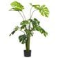 Maple and Jade 48" Indoor/Outdoor Artificial Monstera with Black Plastic Pot in Green, , large