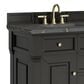 James Martin Vanities Brookfield 36" Single Bathroom Vanity in Black Onyx with 3 cm Parisien Bleu Quartz Top and Rectangular Sink, , large