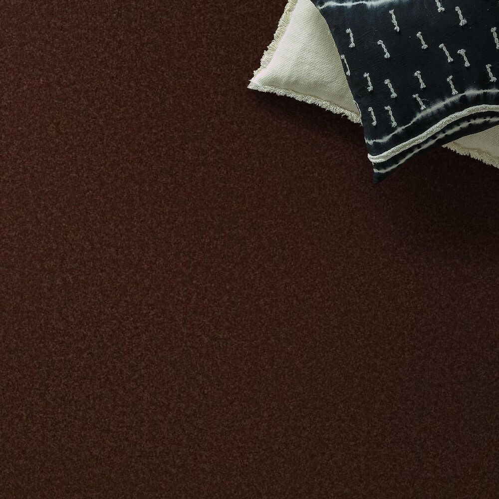Anderson Tuftex Elegant Beauty Carpet in Cinnabar, , large