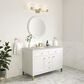 James Martin Vanities Chicago 48" Single Bathroom Vanity in Glossy White with 3 cm Victorian Silver Quartz Top and Rectangular Sink, , large