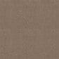 Shaw Comforting I Carpet in Riverbank, , large