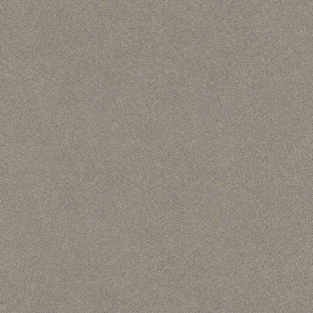 Shaw Tonal Comfort Ii Carpet in Back Patio, , large