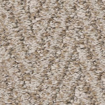 Anderson Tuftex Kit Carpet in Balanced, , large
