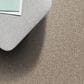 Godfrey-Hirst Candor Carpet in Artful, , large