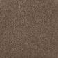 Mohawk Windsor Gardens I Carpet in Nutmeg, , large