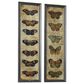 Maple and Jade 11" x 36" Butterfly Framed Wall Art in Orange, Black and Blue (Set of 2), , large