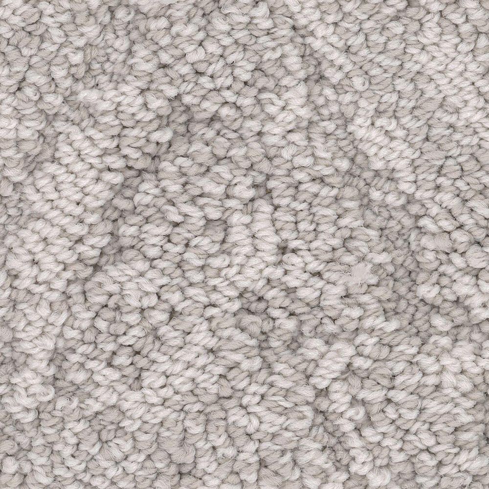 Anderson Tuftex Lavish Living Carpet in Baltic Stone, , large