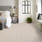 Anderson Tuftex Laken Carpet in Wind Swept, , large