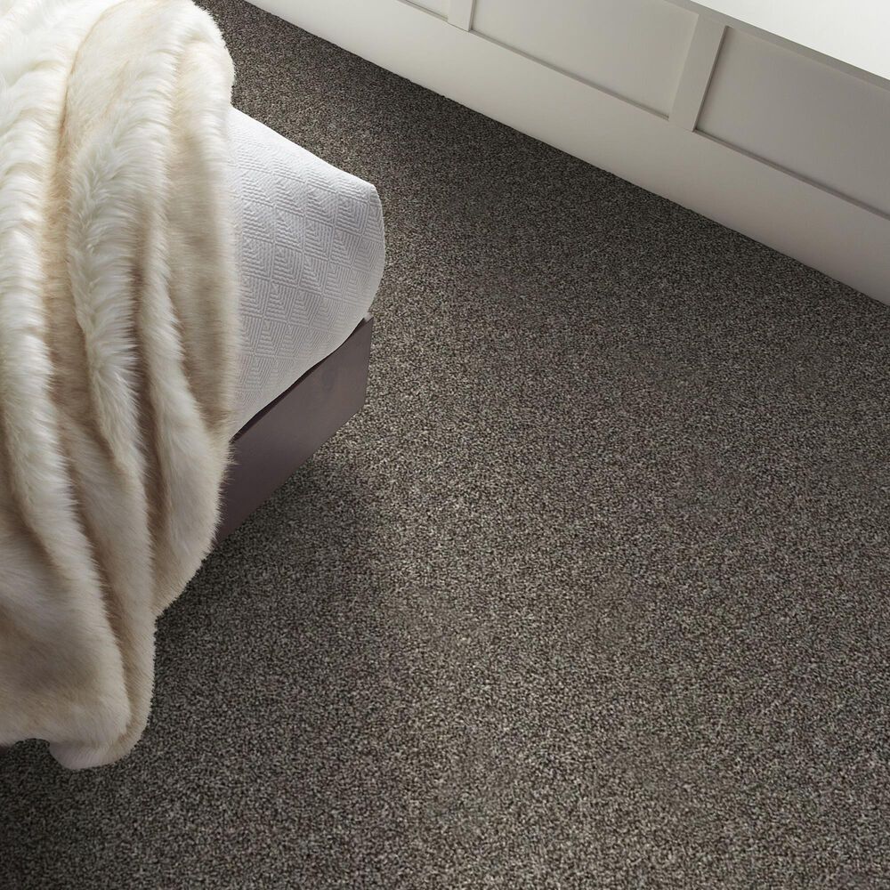 Shaw Shake It Up &#40;T&#41; Carpet in Hammerhead, , large