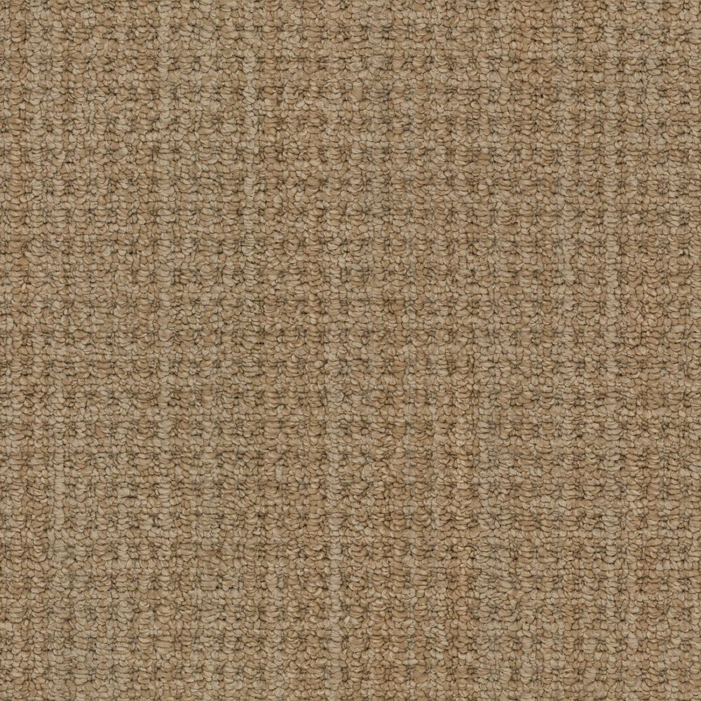Masland Take It Easy Carpet in Flagstaff, , large