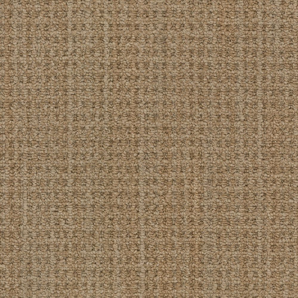 Masland Take It Easy Carpet in Flagstaff, , large
