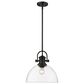Golden Lighting Hines 1-Light Pendant in Matte Black, , large