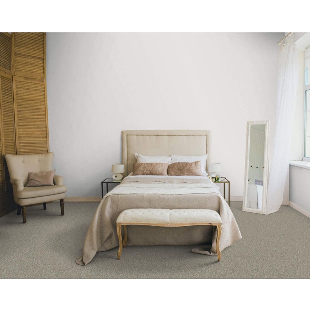 Dixie Home Main Force Carpet in Shale, , large