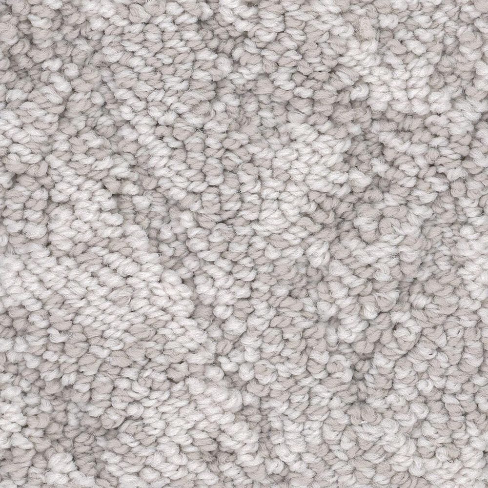 Anderson Tuftex Lavish Living Carpet in Minimal, , large
