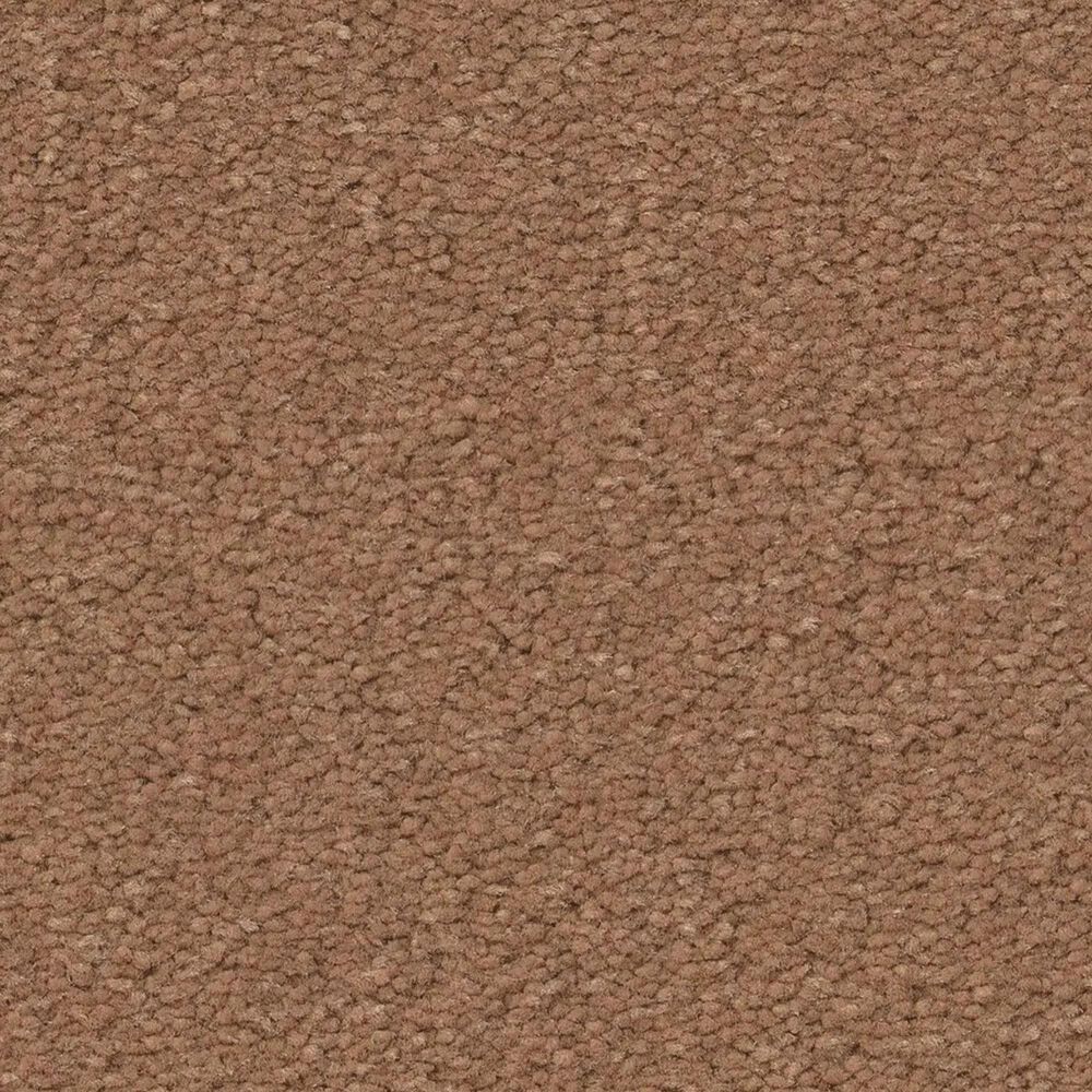 Anderson Tuftex Finery Carpet in Camel, , large