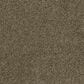 Dream Weaver PS400 Carpet in Brandywine, , large