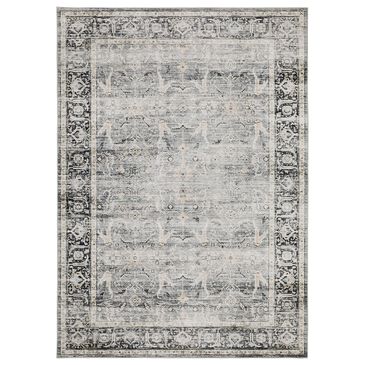 Oriental Weavers Charleston Distressed 2" x 3" Charcoal Area Rug, , large