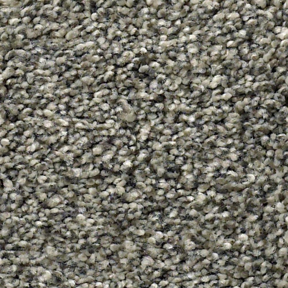 Anderson Tuftex The Bark Side I Carpet in Leeds NFM