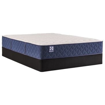 Sealy Safa Park Firm Queen Mattress with Low Profile Box Spring, , large