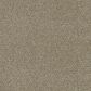 Dream Weaver Clearwater II Carpet in Toasted Oat, , large
