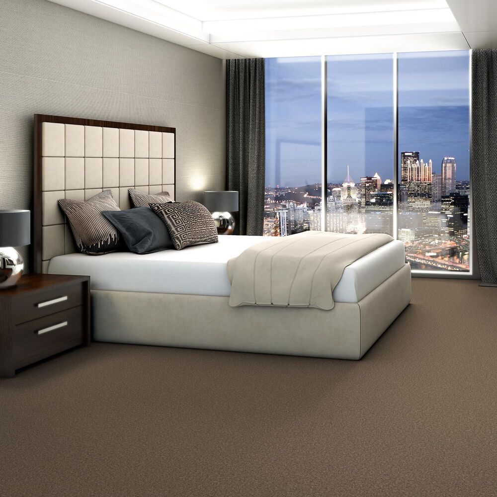 Shaw You Got This III Carpet in Mission Ridge, , large