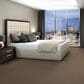 Shaw You Got This III Carpet in Mission Ridge, , large