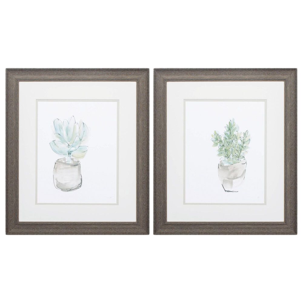 Propac Succulent Wall Art in Green and Brown (Set of 2), , large