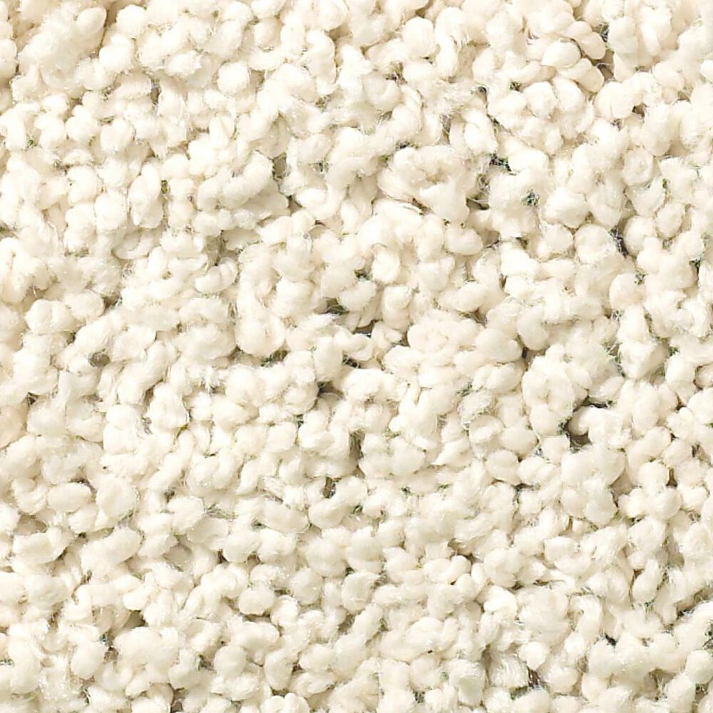 Anderson Tuftex Caress Rich Opulence Carpet in Awaken, , large