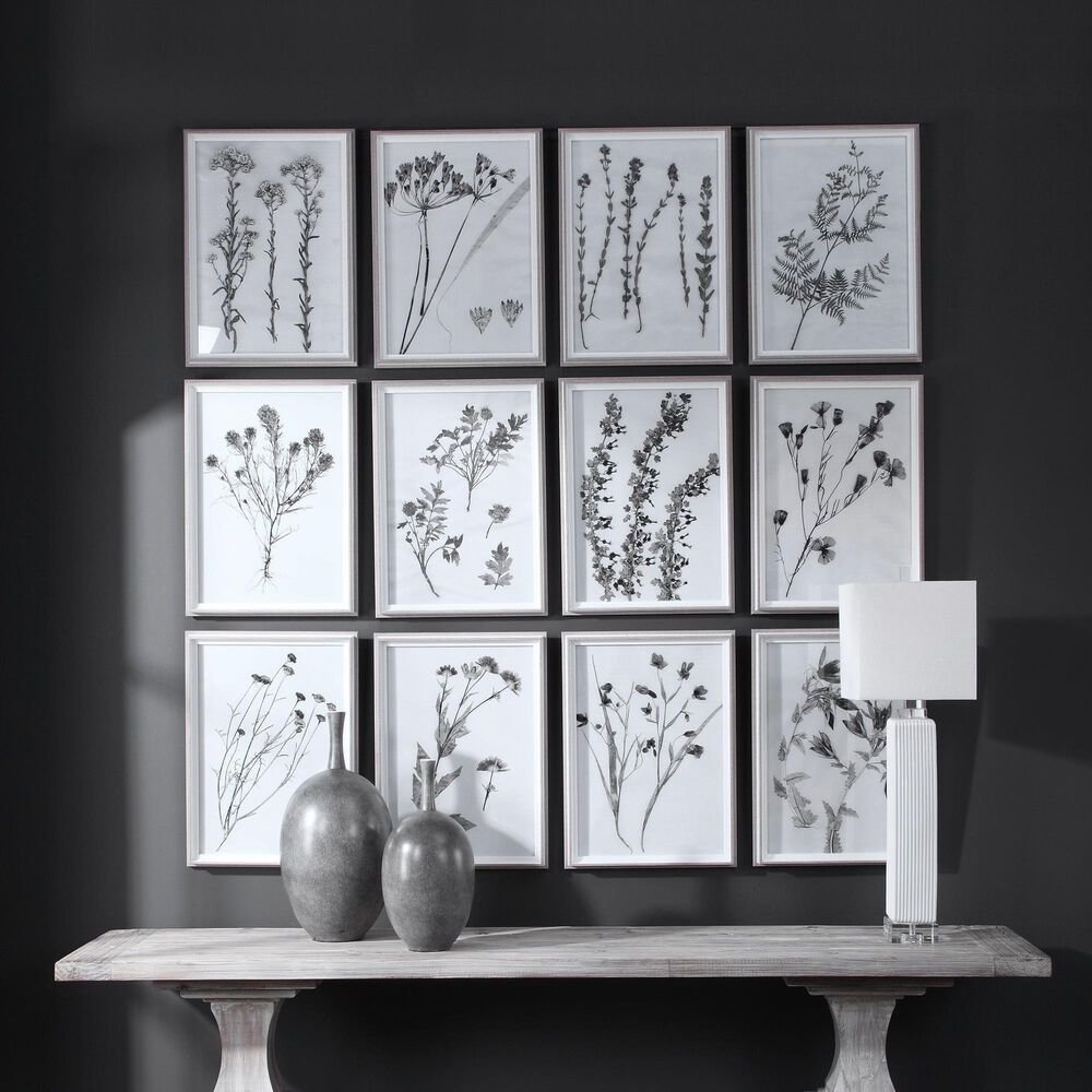 Uttermost Contemporary Botanicals Framed Prints (Set of 12), , large