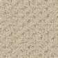 Shaw Austin Park Carpet in Sentimental, , large