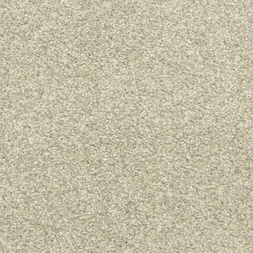Dixie Home Simplicity Carpet in Touch Of Grey, , large