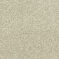 Dixie Home Simplicity Carpet in Touch Of Grey, , large
