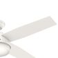 Hunter Dempsey 52" Ceiling Fan with Lights in Fresh White, , large