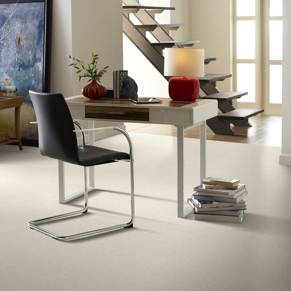 Shaw Simply the Best Attainable Carpet in Blizzard, , large