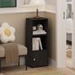 HOMLUX 3-Tier Shelf Bookcase with Door Storage Cabinet in Blackwood, , large