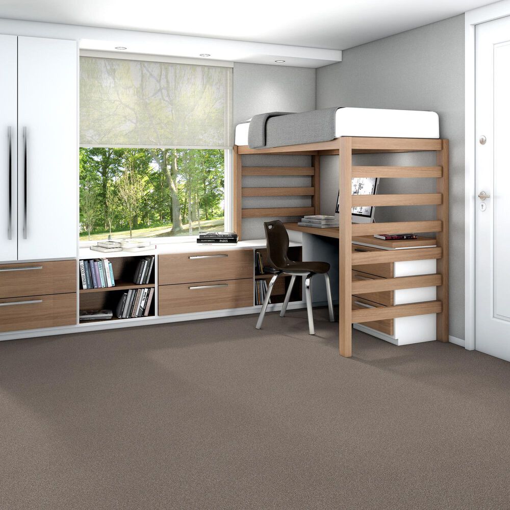 Shaw Trusplendor Carpet in Cobble Drive, , large