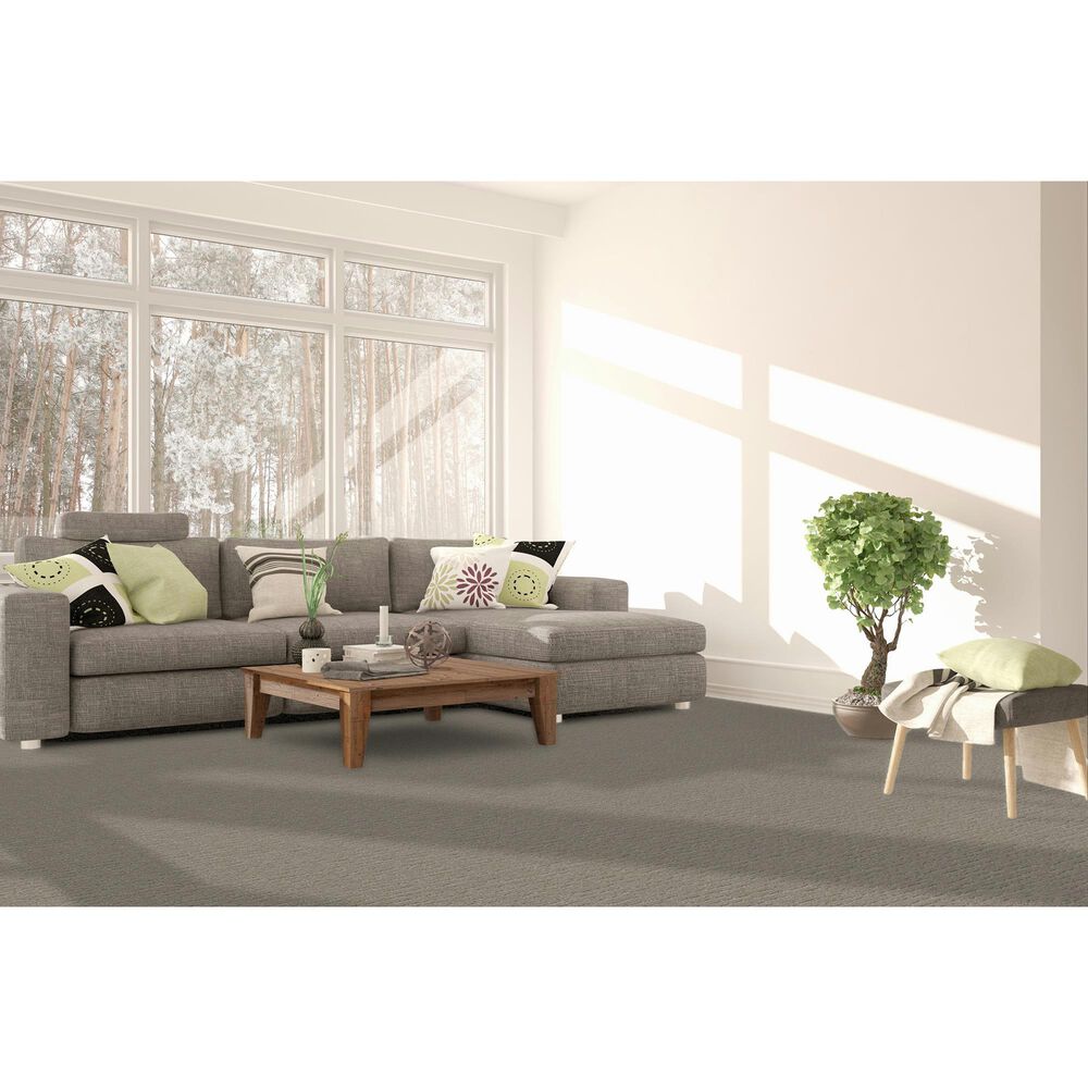 Dream Weaver Natural Attraction Carpet in Cascades, , large