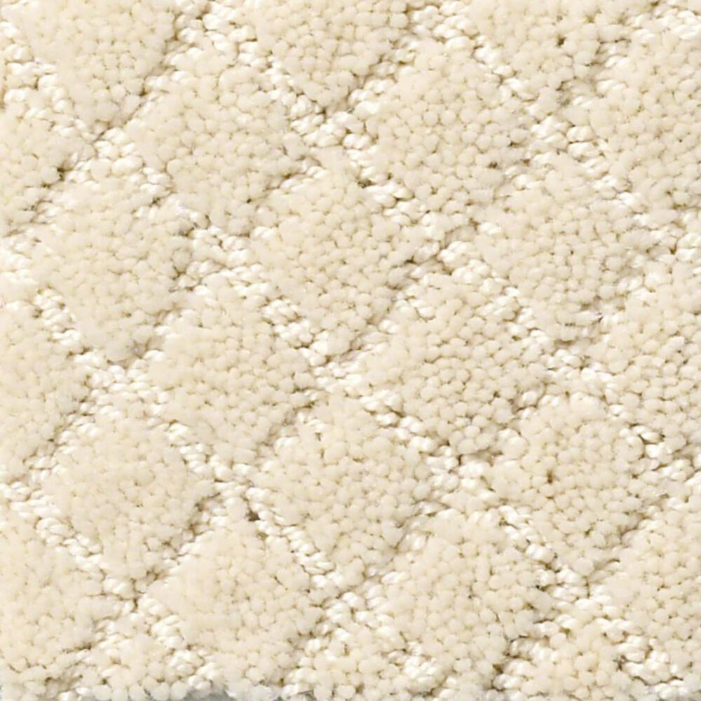 Anderson Tuftex Off Leash Carpet in Antiquity, , large