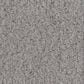 Anderson Tuftex Luxe Feel II Carpet in Classic Gray, , large