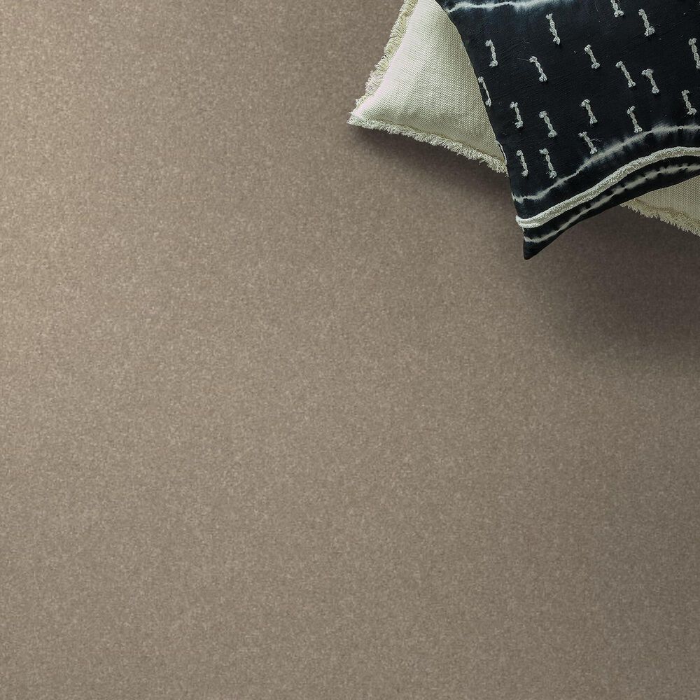 Shaw Hard At Play II Carpet in Subtle Clay, , large