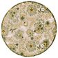 Nourison Aloha ALH17 7"10" Round Ivory and Green Indoor/Outdoor Area Rug, , large