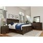 Viceray Collections Passageways Landscape Mirror in Charleston Brown, , large