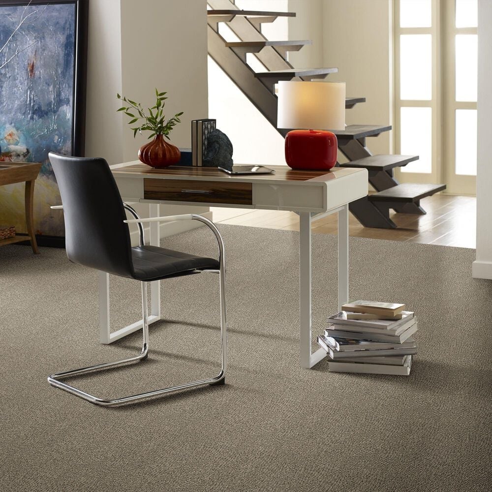 Anderson Tuftex Fur-Ever Carpet in Danville, , large