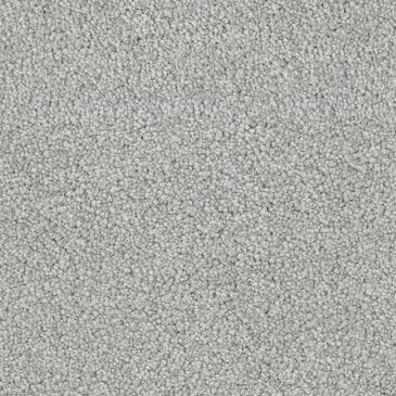 Dixie Home Gentle Wind Carpet in Driftwood, , large