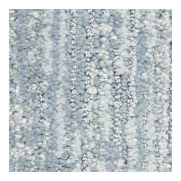 Dixie Home Hamden Carpet in Bonnet, , large